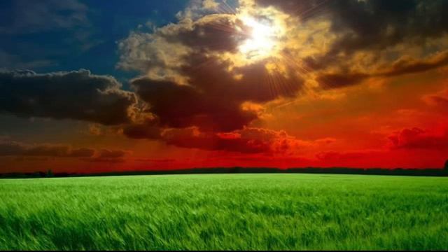 Матфея 14 смотреть онлайн