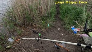 Удилища трещали от таких КАРАСЕЙ! Удачно попал. Рыбалка на КАРАСЯ. ОБЯЗАТЕЛЬНО ПОСМОТРИ! Д.Ф. Ейск