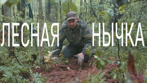 Нашел закладку егерей