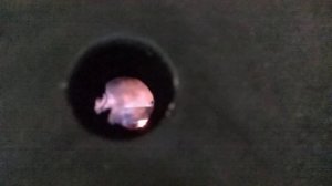 Третичный воздух в шахтном котле Buderus