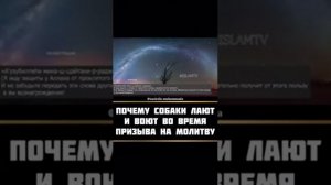 ПОЧЕМУ СОБАКИ ЛАЮТ ВО ВРЕМЯ АЗАНА???