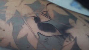 Покрас. Как плотно покрасить кожу? Как выбрать иглы.