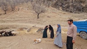 "The narrative of the Bekr family visit with the BID family and research on the Jamshid"🌨