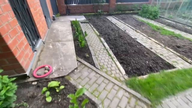 Моя новая работа. Дома хорошо. Жизнь на даче.