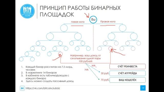 Разбор нового маркетинга ELYSIUM сколько можно заработать смотреть онлайн