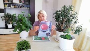 Описание сорта "Богатырь-Тарханова". Супер сорт!