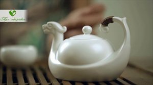 Как правильно заваривать зеленый чай? Какую пользу скрывает зеленый чай