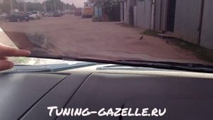 иранская тонировка газель
