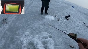 Рыбалка на Рыбинском водохранилище. Ловим синца с подушки. 09.04.2019г.