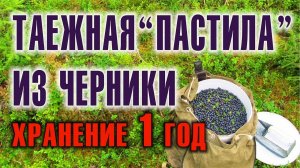 ЧЕРНИКА. ЛЕСНЫЕ ЯГОДЫ Как сделать пастилу в тайге. Вкусняшки своими руками и хранение черники на год