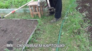 ОКУЧИВАЕМ КАРТОШКУ