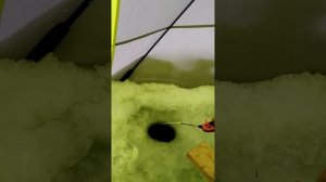 зимняя рыбалка на карася в палатке ,обзор  палатки на льду