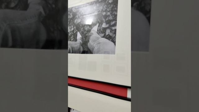 Росфото