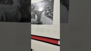 Росфото