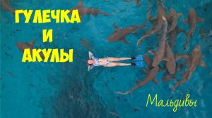 ГУЛЕЧКА И АКУЛЫ