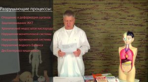 Неделя знакомства с внутренними органами 10 разрушающих факторов