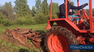 1 рядная транспортерная картофелекопалка - На пару с т25а - копаем картошку