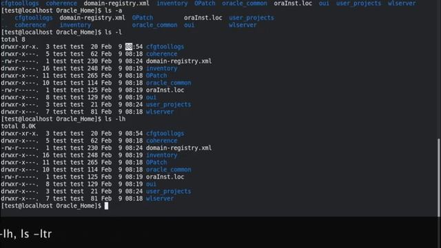 Linux Directory Commands смотреть онлайн