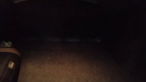 Аренда квартир в Майами. Обзор недвижимости США