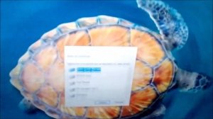 Canon Pixma MP140 - Prueba de impresión y escáner