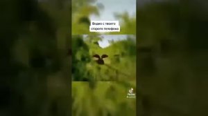 видео с твоего старого телефона #мем
