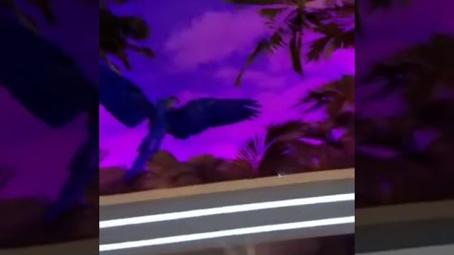 3 д потолок. Печать на прозрачной пленке уф смотреть онлайн