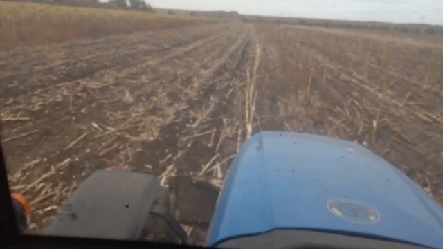 солис105 озимая пшеница посев смотреть онлайн