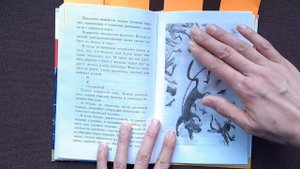 Детская книжная иллюстрация | Разбор книг | Букинистика