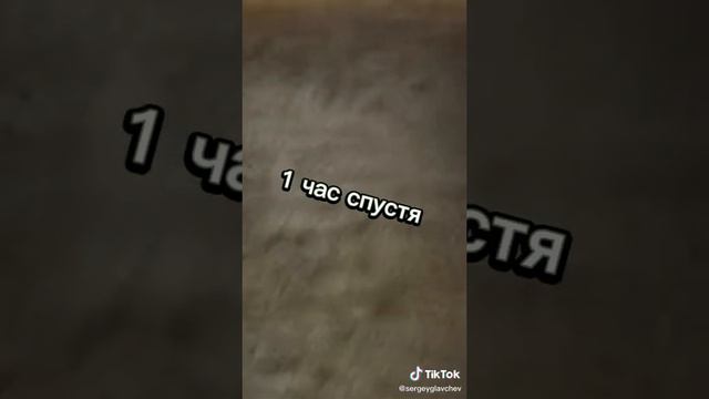 ИДИ спать! Клади телефон! Залипалово! Вирусный видео блог "в топе" Крутые видео только тут!