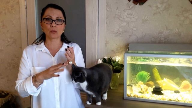 Как постоить дом по фэн шуй