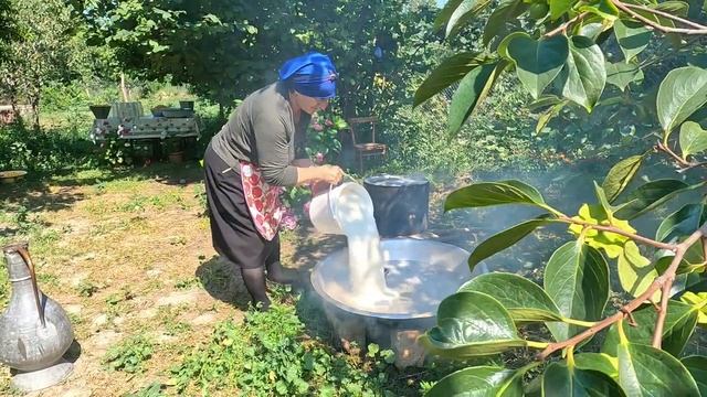 Сбор Свежих Желтых Черешни В Саду. Готовим Три Самых Вкусных И Простых Рецепта из Черешни.
