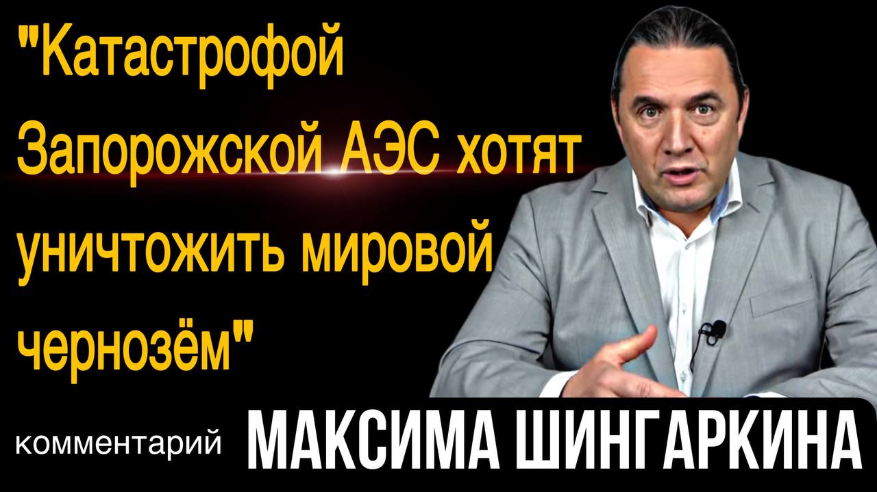 «Катастрофой Запорожской АЭС хотят уничтожить мировой чернозём». Комментарий Максима Шингаркина
