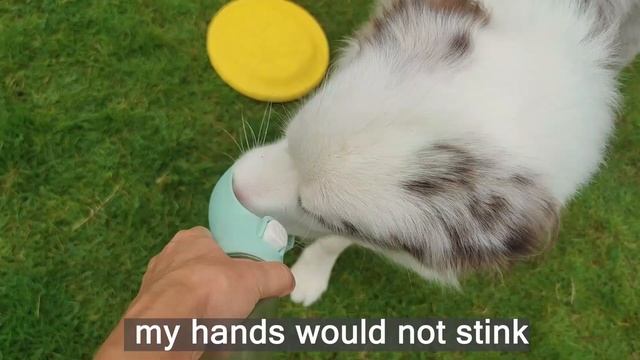 Pet Dogs Accessories for Training Clicker Dog Treat Pouch Dog Snack Bag Training and Aids Behavior смотреть онлайн