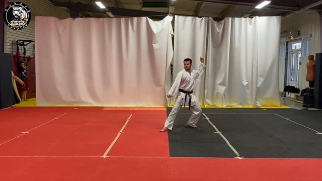 Выучи это - и коричневый пояс твой!Пинан Годан | Ученическое Ката для аттестации на коричневый пояс смотреть онлайн