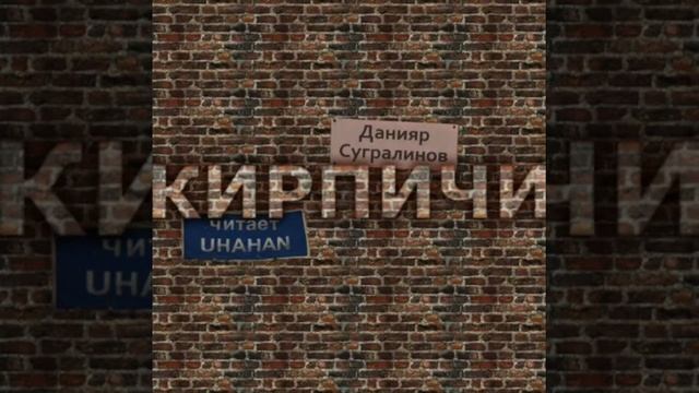 кирпичи книга  .11 кирпич