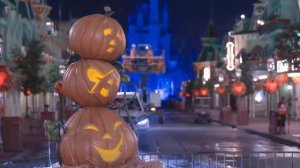 Какие Ужасы скрывают Сотрудники Диснейленда