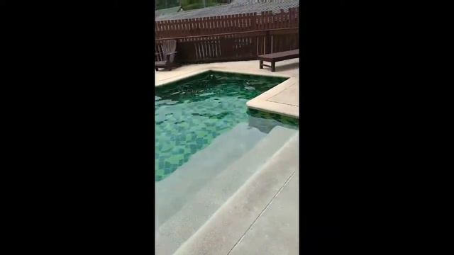 Tuana Phulin Resort 3* смотреть онлайн