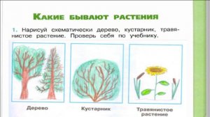 Окружающий мир. Рабочая тетрадь 2 класс 1 часть. ГДЗ стр. 39 №1