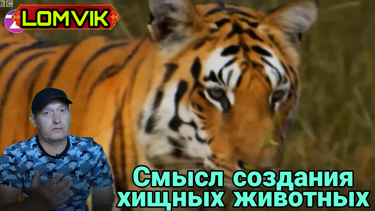 Смысл создания хищных животных