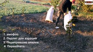 Фундук. Подготовка ПОЧВЫ под школку для доращивания.Готовим почву правильно!