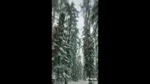 Я Заберу Твою Семью Актёры Тик Ток Закадровые Моменты