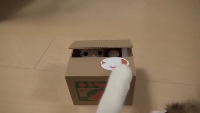 Барбузяка, котик и игрушечный котик смотреть онлайн