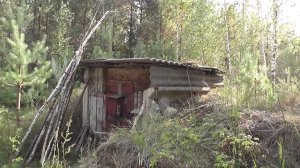 Дорога вдоль болот и глухих деревень: Поездка в Савинский район Ивановской области