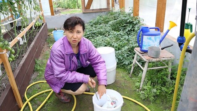 18 июля 2020г. ОРАНЖЕВЫЙ ГИГАНТ ДМИТРИЕВА подкормка овощей смотреть онлайн