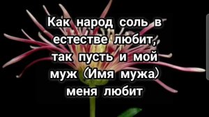 Шепотки да Прилады #шепотки#заговоры#любовнаямагия