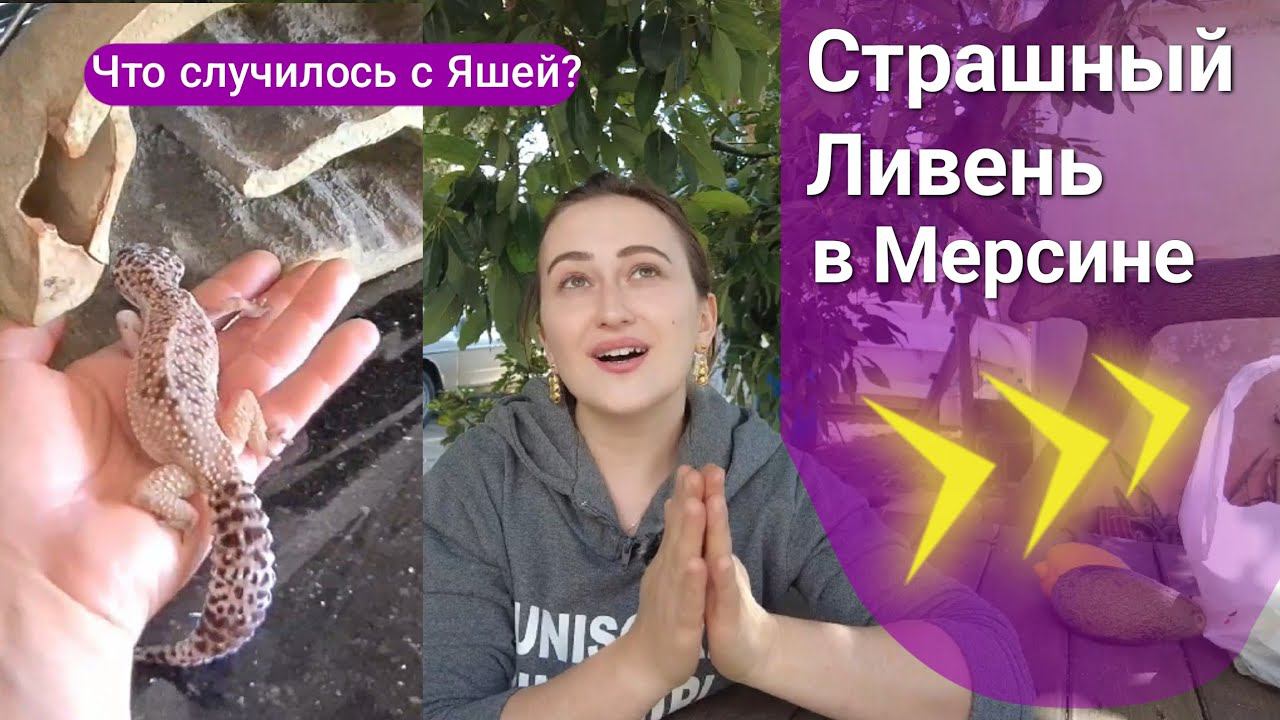 Что случилось с Яшей!? Ливень в Мерсине, про конкурс и песни