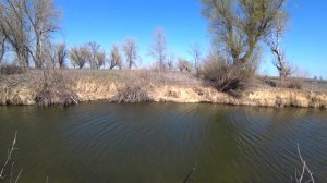 КАЖДЫЙ ЗАБРОС!!! В ЭТОМ РУЧЬЕ ПОЛНО РЫБЫ! РЫБАЛКА В АСТРАХАНИ! ЩУКА НА БЛЕСНУ!