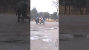 Поход на приемку металла.