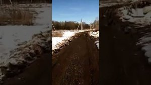 Сокольниково весной