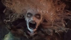 Усадьба Литовка, Беларусь